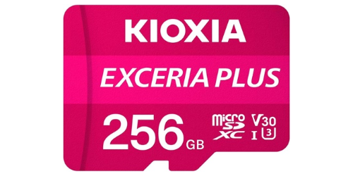 photo of KIOXIA-256GB SD U3 in Dash Cams